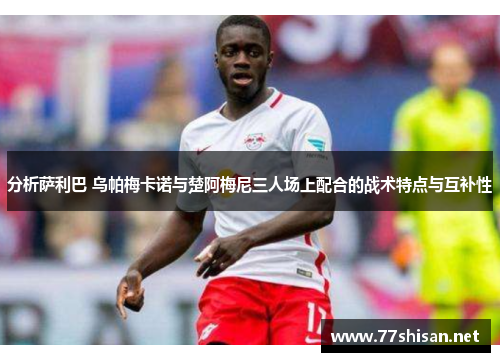 分析萨利巴 乌帕梅卡诺与楚阿梅尼三人场上配合的战术特点与互补性