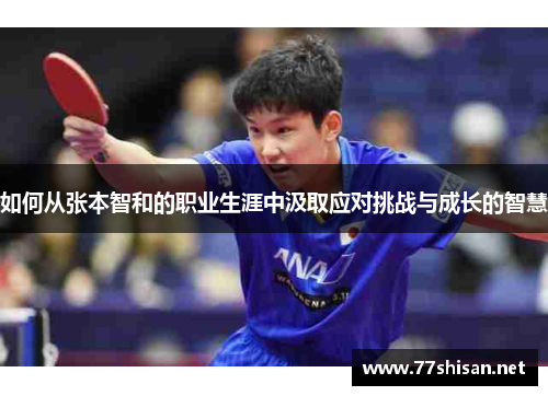 如何从张本智和的职业生涯中汲取应对挑战与成长的智慧